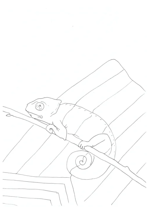 100 Women Challenge — 22 - Walk Through Walls — Ink drawing by Roberta Gattel