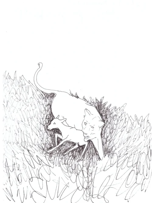 22 - Walk Through Walls