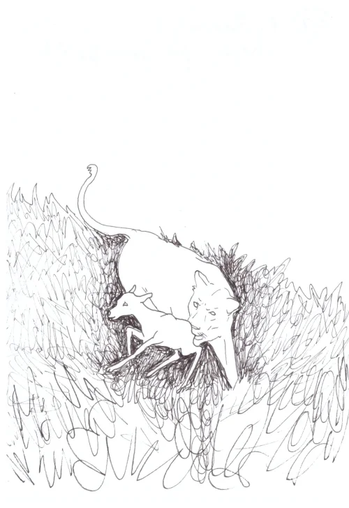 100 Women Challenge — 22 - Walk Through Walls — Ink drawing by Roberta Gattel