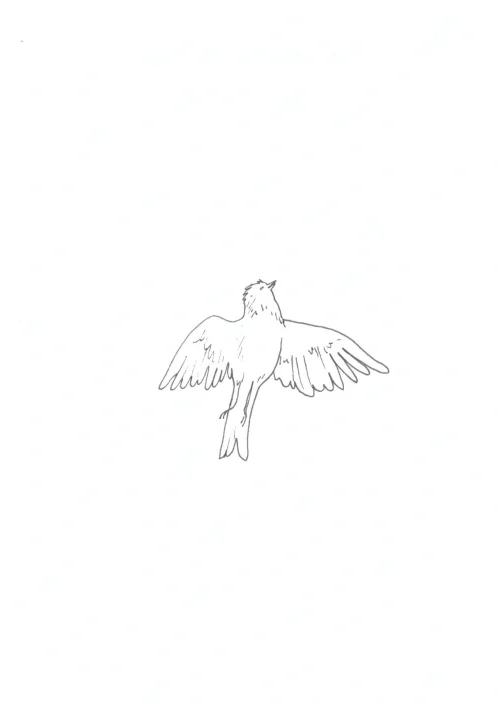 100 Women Challenge — 97 - Against White Feminism — Ink drawing by Roberta Gattel